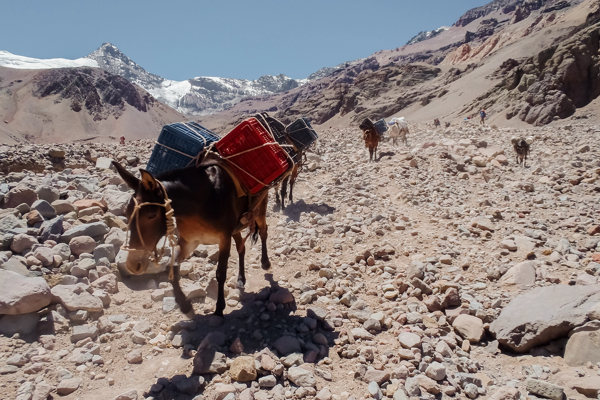 Fotka vystihující průběh expedice